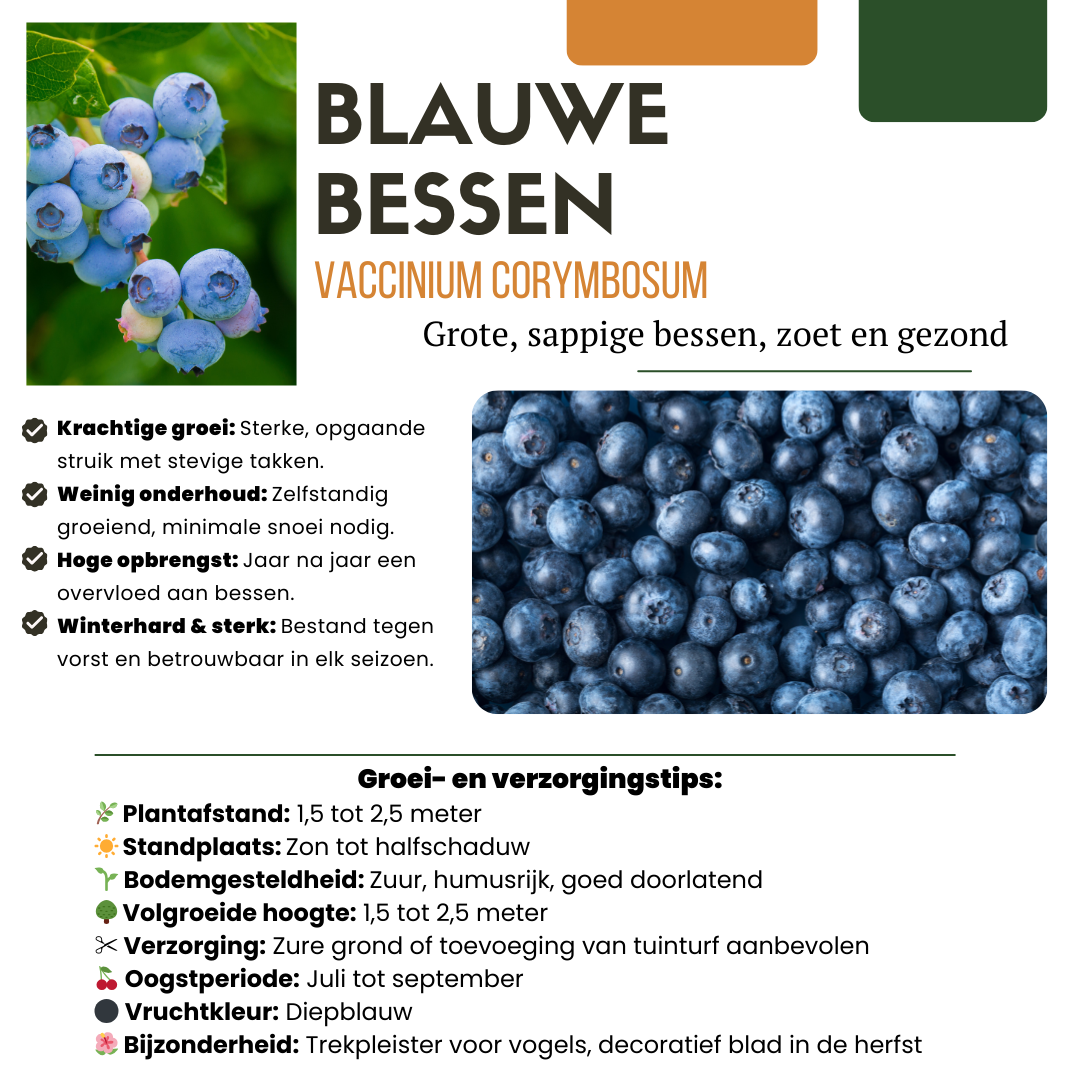 "Vruchtenparadijs" BIO Fruitplanten mix set van 4 verschillende soorten