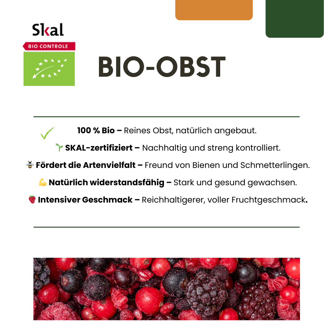 6 x Biologische Druivenplanten - Ø 13 cm - ↨ 20 cm