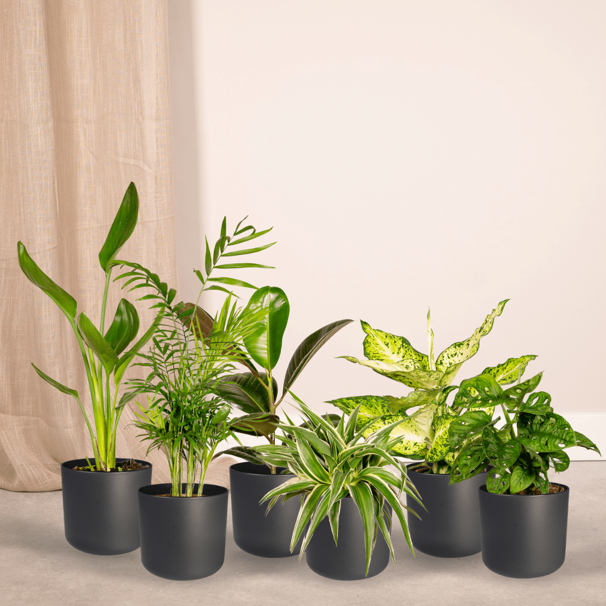 Verrassingsbox - Ø12cm - ↕25cm - x10