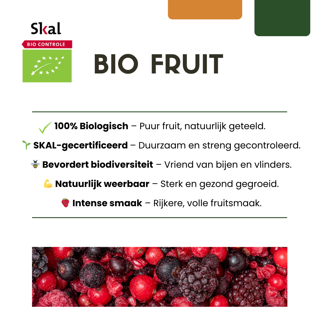 3 x Biologische bramenplanten - Ø 13 cm - ↨ 20 cm