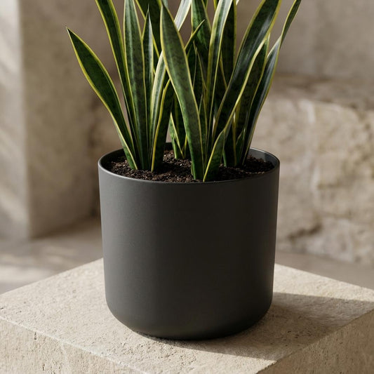 Elho B.for soft Antraciet - 18cm