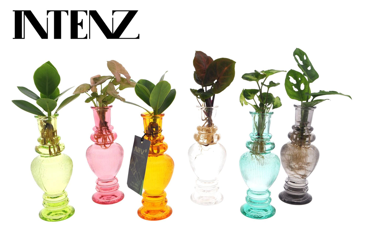 Mix In Venice Glas - Ø7cm - ↕20cm