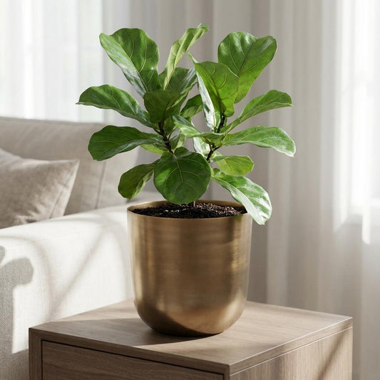 Pot Mayk Gold - D20cm - H22cm