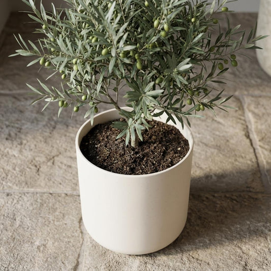 Elho B.for soft White - 22cm