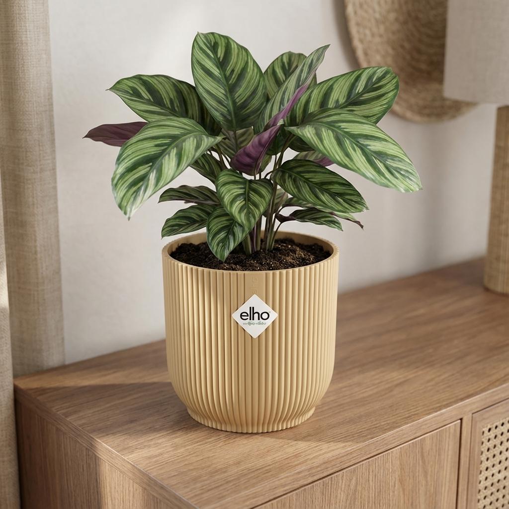 ELHO Vibes Fold 22cm geel